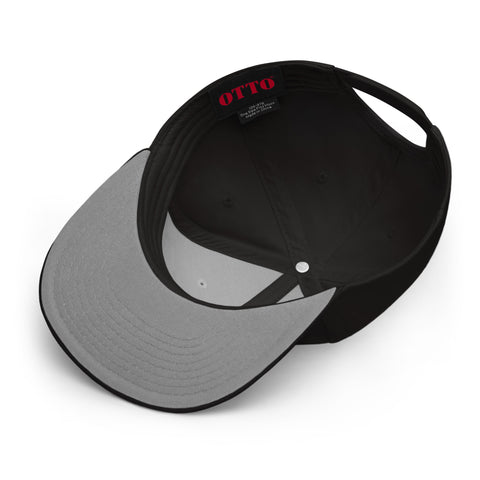 ProfDinonugget - Snapback-Cap mit Stick