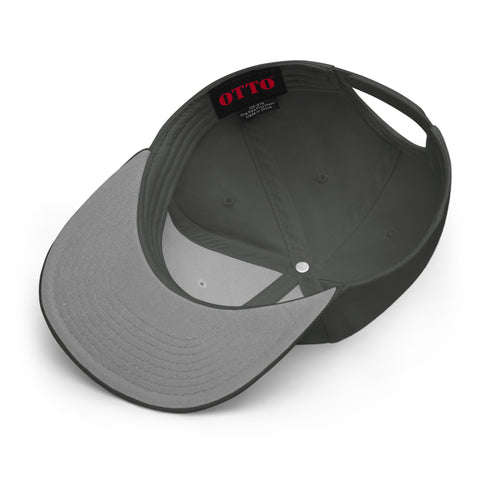 ProfDinonugget - Snapback-Cap mit Stick