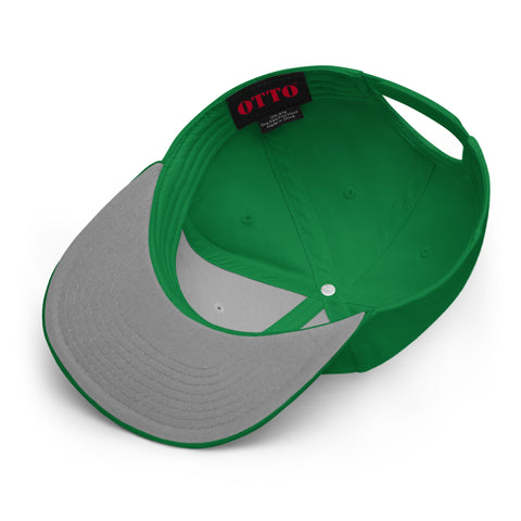 ProfDinonugget - Snapback-Cap mit Stick